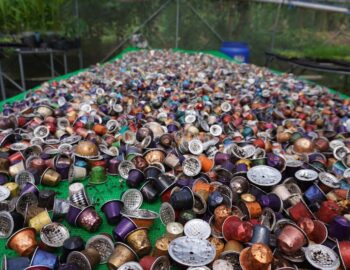 Sunnyville Community Model Farm in Quezon City, where local youth learn about growing food in greenhouses and the importance of creating a circular city, through practices like the upcycling of tens of thousands of Nespresso pods for healthy fertilizer.