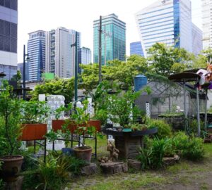 A thriving urban farm situated in one of the most expensive areas of Manila, Bonifacio Global City, where local youth come to learn about the importance of re-integrating agriculture into cities and growing food in a social and environmentally sustainable way.