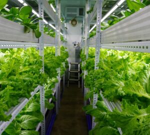 A demonstration farm in Quezon City, where local youth engage in workshops about vertical and hydroponic farming and how such can help to grow more food with fewer resources.