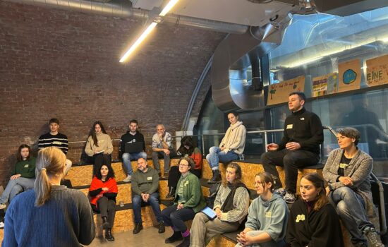 Vortrag Presentation of the preliminary results.
